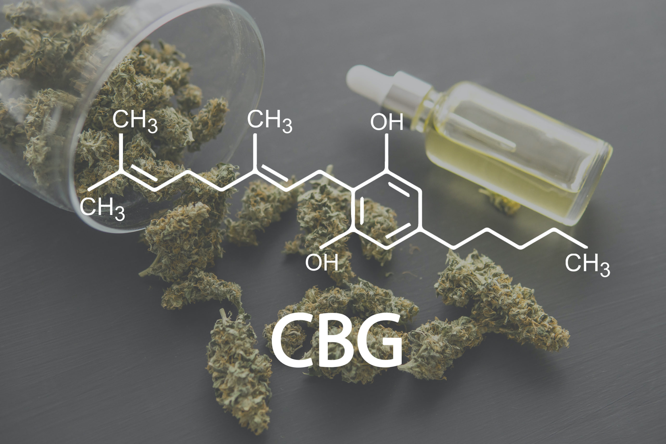 CBG Cannabis plants chemical formula with cannabigerol molecule.