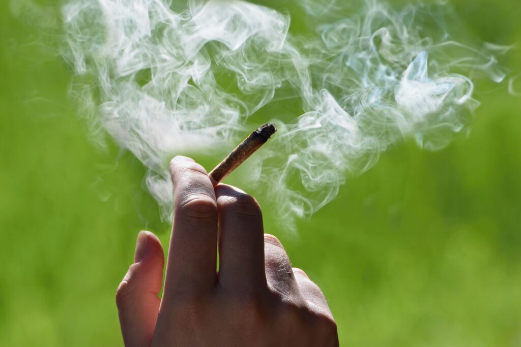 Cannabis (Marijuana) Joint Cannabis (Marijuana) Joint