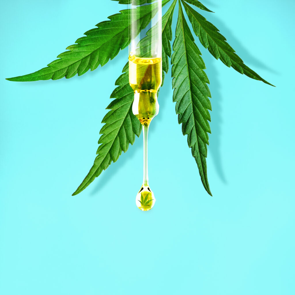 Cannabis leaf and a dropper with drop of CBD OIL