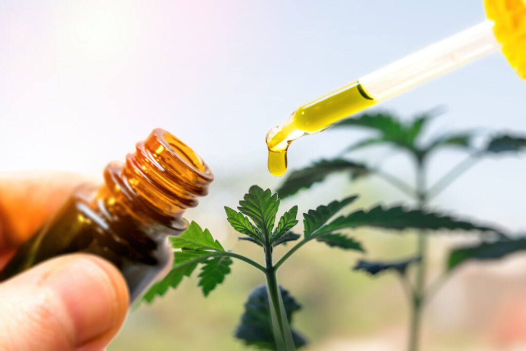 Cannabis oil against Marijuana plant Cannabis oil against Marijuana plant