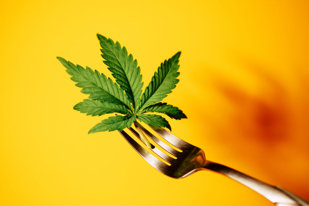 Cannabis leaf on fork. Cooking marijuana edibles. CBD oil food.