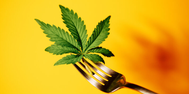 Cannabis leaf on fork. Cooking marijuana edibles. CBD oil food.