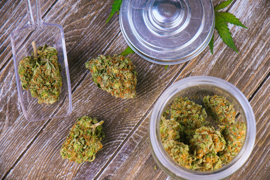 cannabis buds in glass jars