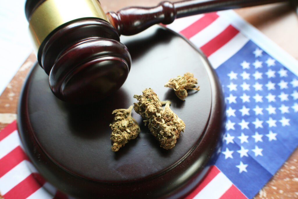 cannabis juxtaposed against a gavel