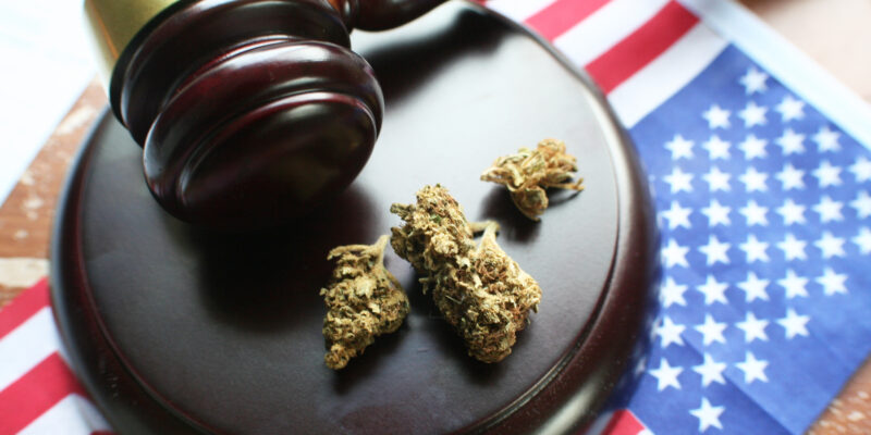 cannabis juxtaposed against a gavel