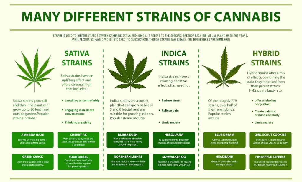 cannabis strains