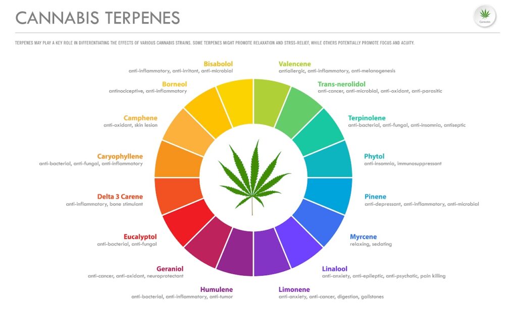 terpenes wheel