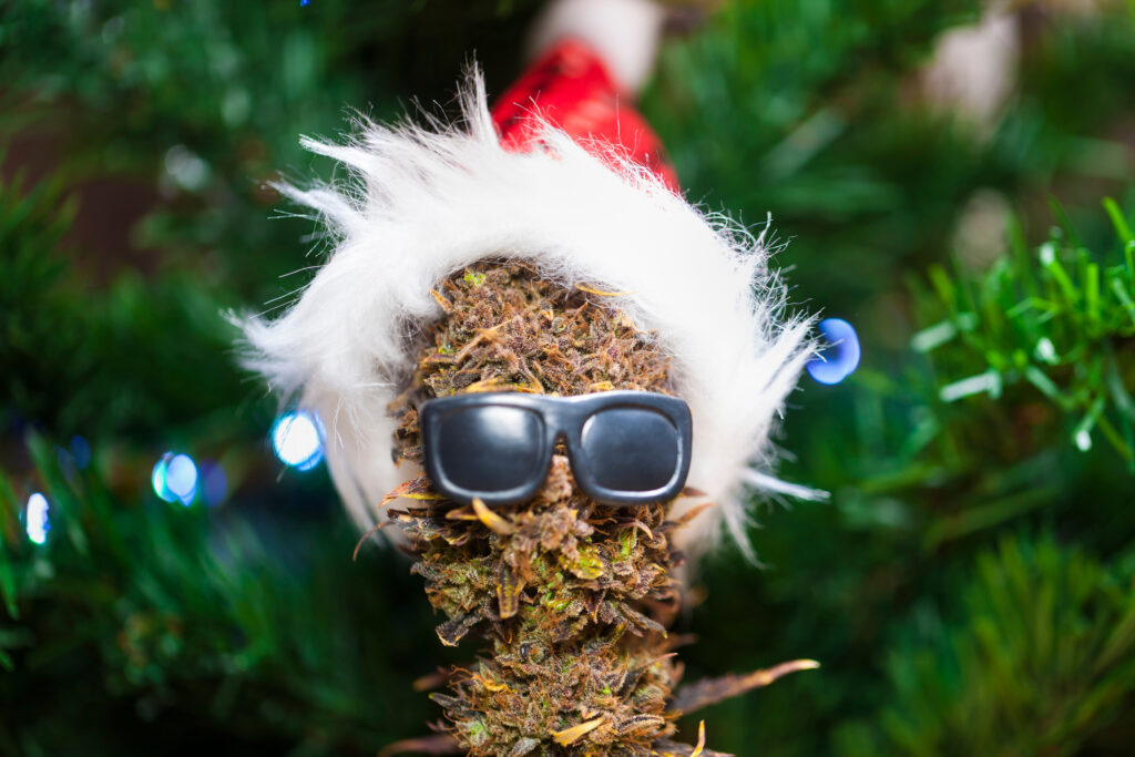 cannabis santa