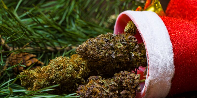 cannabis cone Christmas decoration