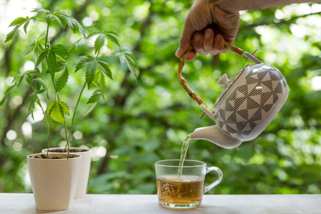 tea based cannabis